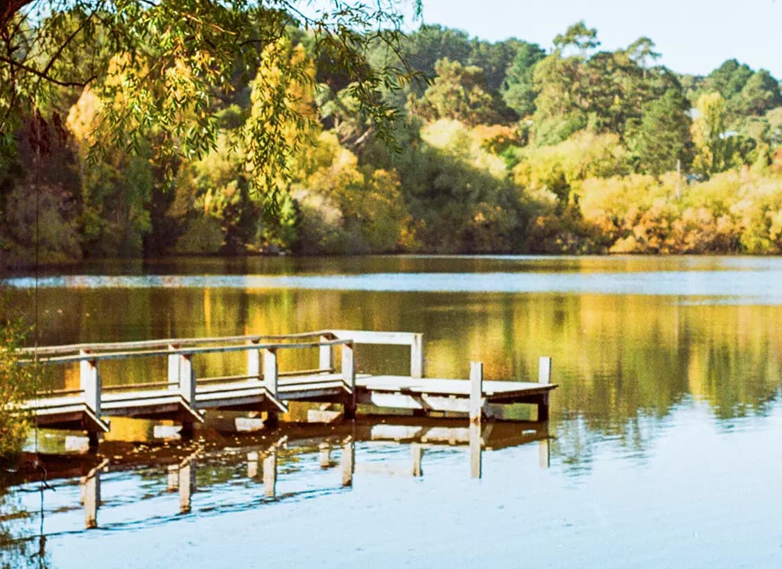 The jetty at Lake Daylesford on a still afternoon, willows overhanging the water and the far bank in autumn colour.