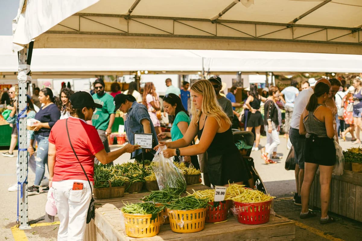 Market Days