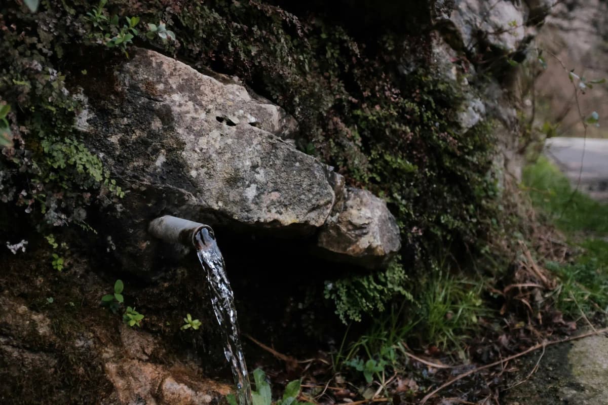 The Mineral Springs and Bathhouse