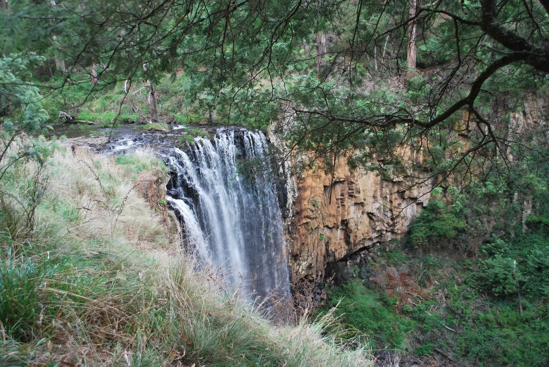 Trentham Falls pouring over a cliff of basalt columns into a fern-lined gorge.